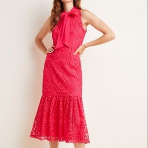 Brand New Monique Lhuillier Anthro lace dress